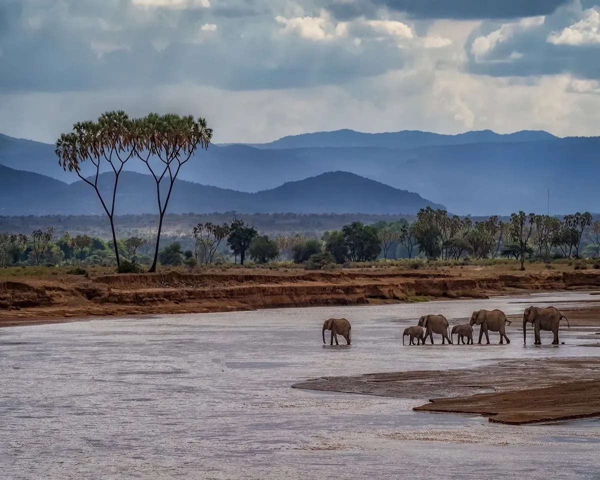 samburu in oct